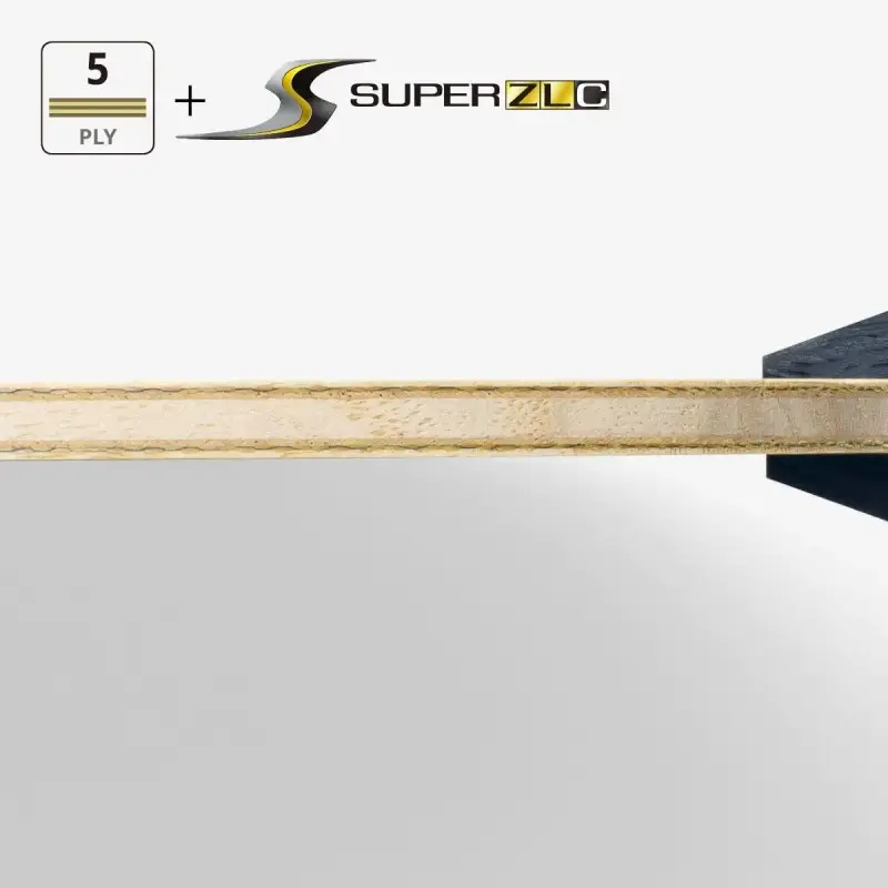 BUTTERFLY FZD 樊振東 SUPER ZLC FL/ST 徐老師特選拍 圖 3