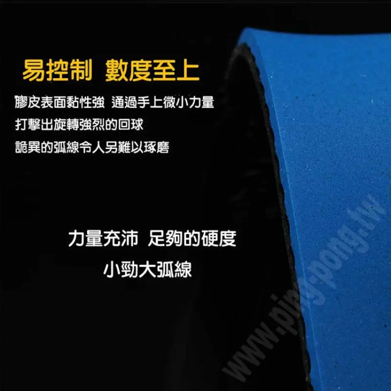 友誼729奔騰2 省隊器材 省套藍海綿套膠 圖 4