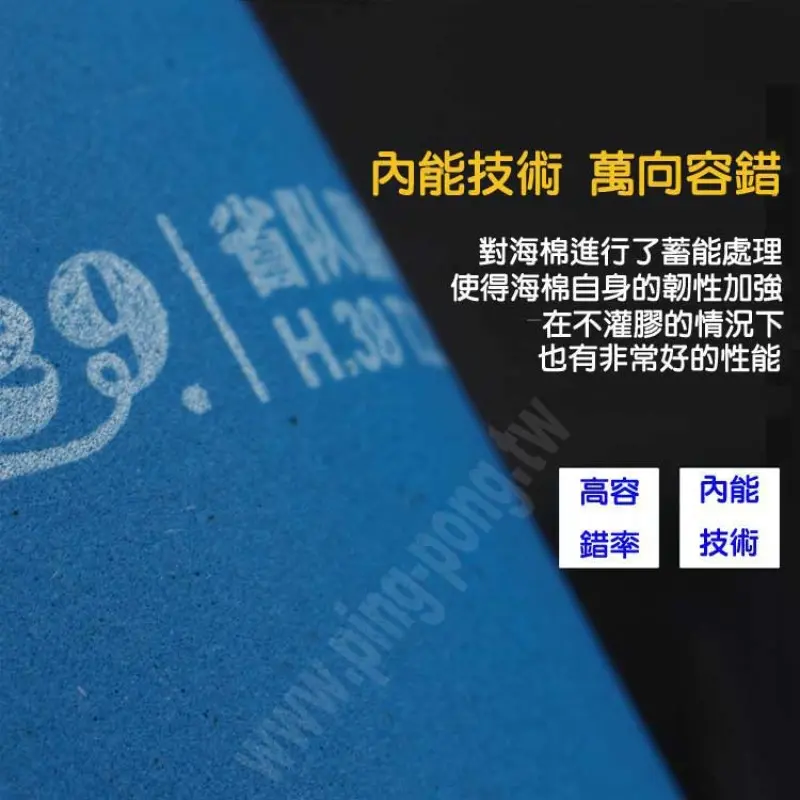 友誼729奔騰2 省隊器材 省套藍海綿套膠 圖 3
