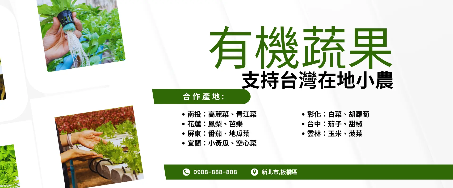 這是有機蔬菜的替代文字