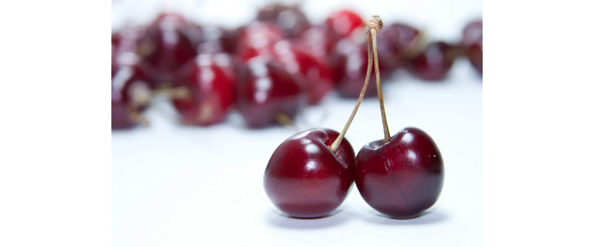 產地直送aDdqwdwadASD