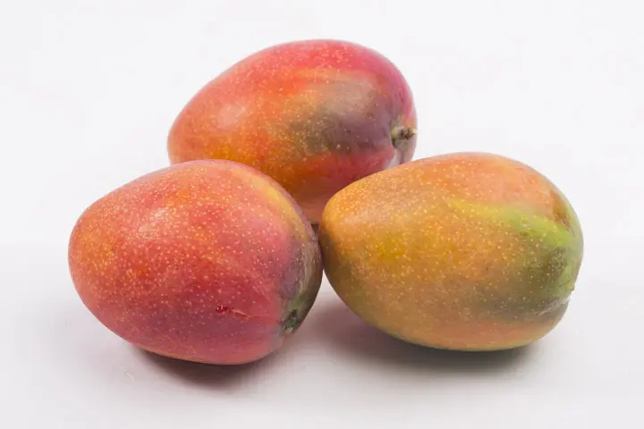 這是 Roger 的測試頁面 這是 Roger 的測試頁面 *#$&@(*yhjfkcdhsjfh;2133482387$@HUI 這是 Roger 的測試頁面 j12k3lj12)( 387290#7)(U#I!H#!@JKndl:JLD:ASJkldsa